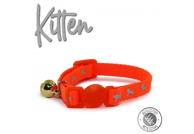 Hi-Vis Safety Kitten Collar Orange