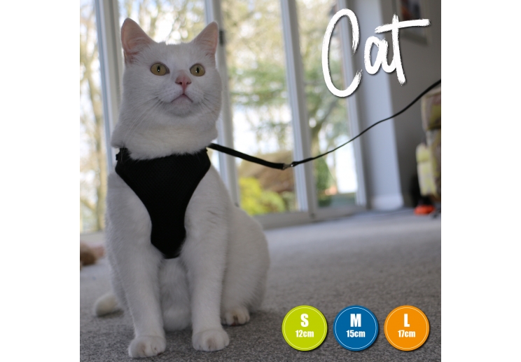 Soft Cat Harness and Lead Black M