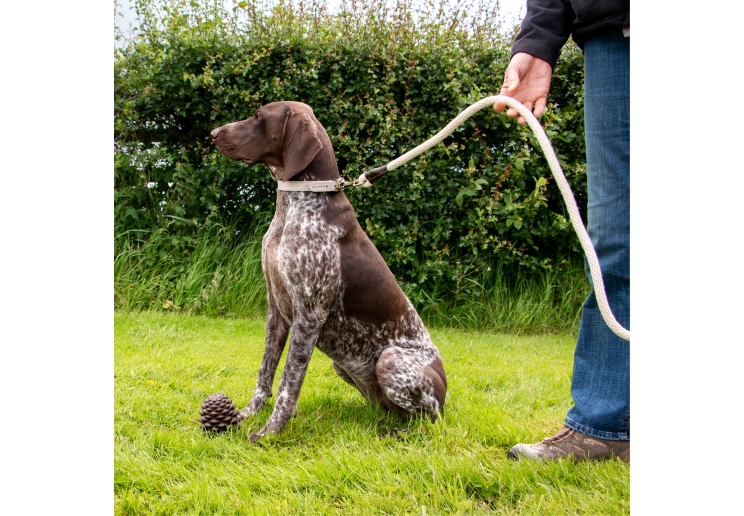 Heritage Cotton Rope Lead Natural 150x1.5cm