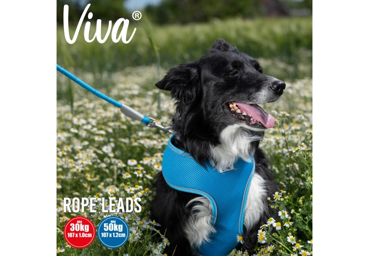 Viva Rope Lead Reflective Black 1.07mx10mm