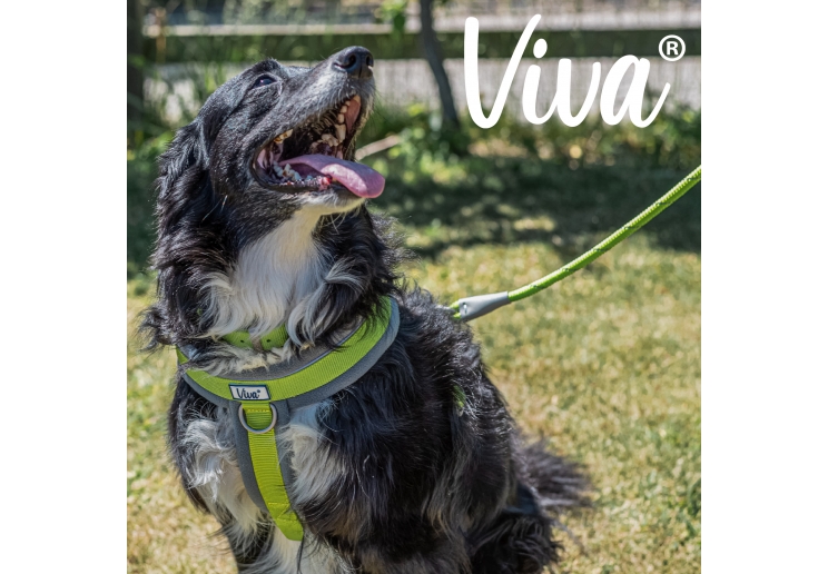 Viva Rope Lead Reflective Lime 1.07mx10mm