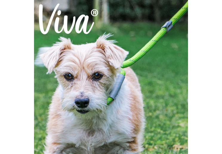 Viva Rope Slip Reflective Lime 1.2mx12mm