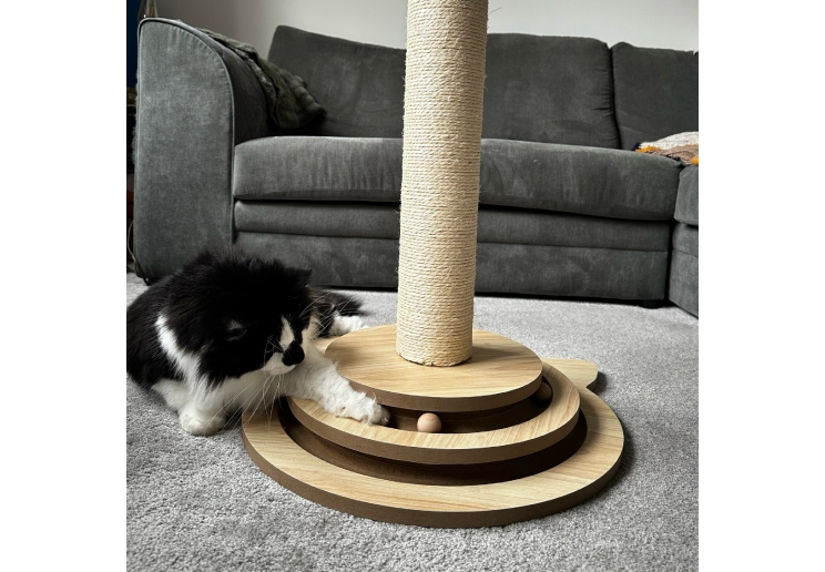 Cat Shape Enrichment Scratcher