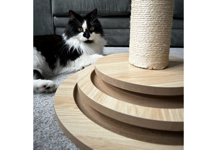 Cat Shape Enrichment Scratcher