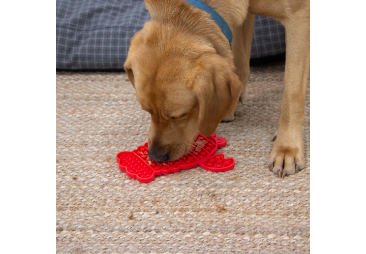 Orva Lobster Lick Mat