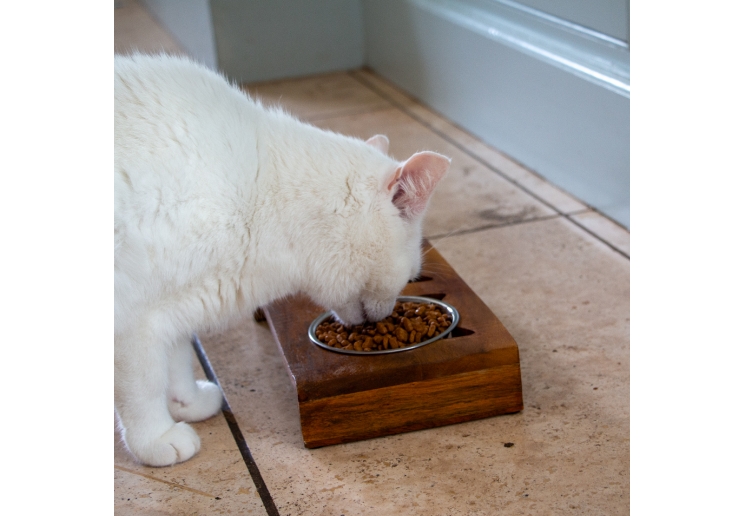 Raised Twin Cat Feeder