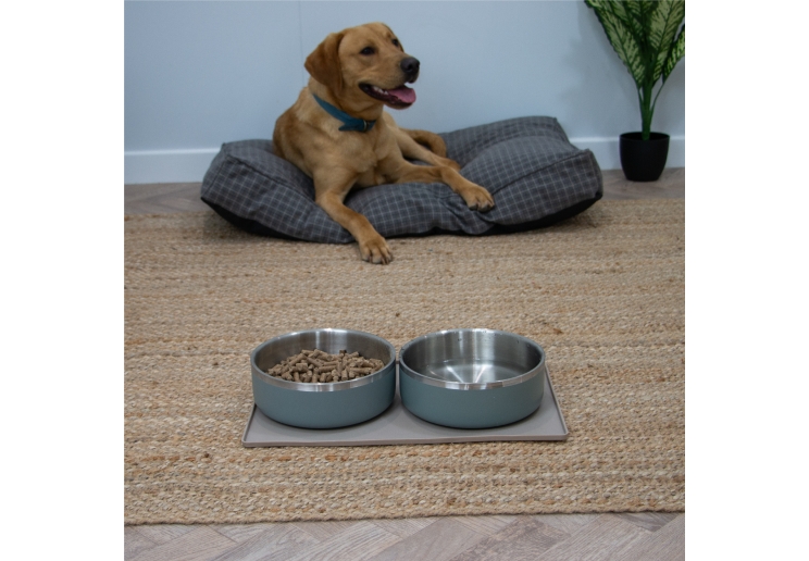 Oatmeal Feeding Mat