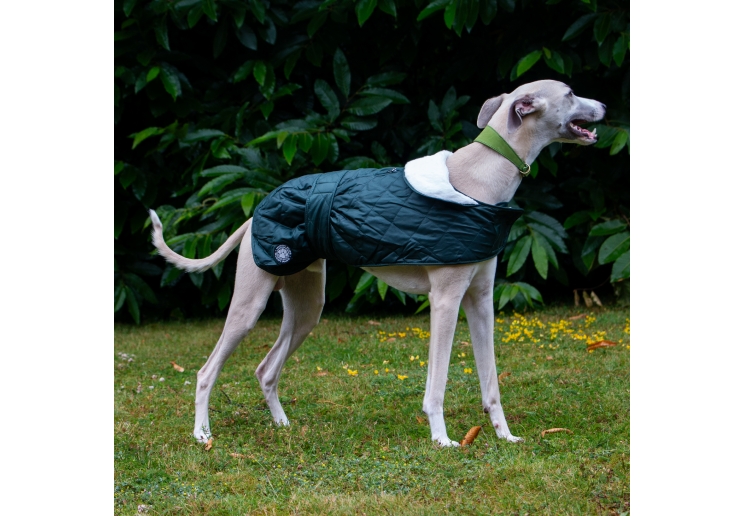 Heritage Quilted Hound Coat M