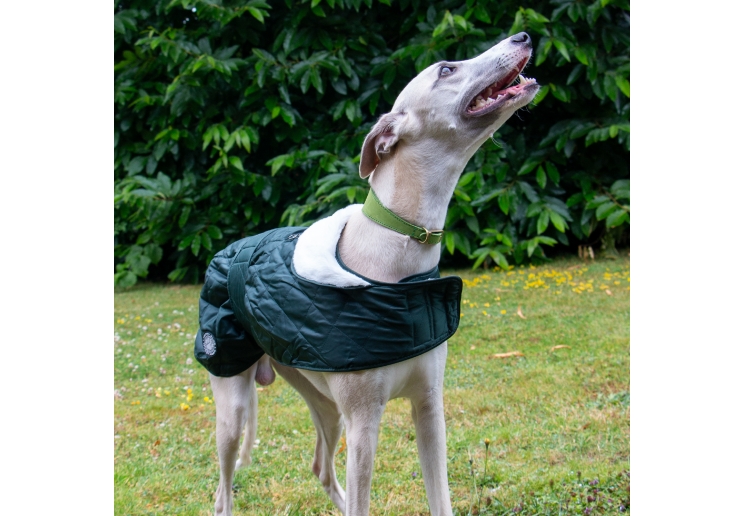 Heritage Quilted Hound Coat M