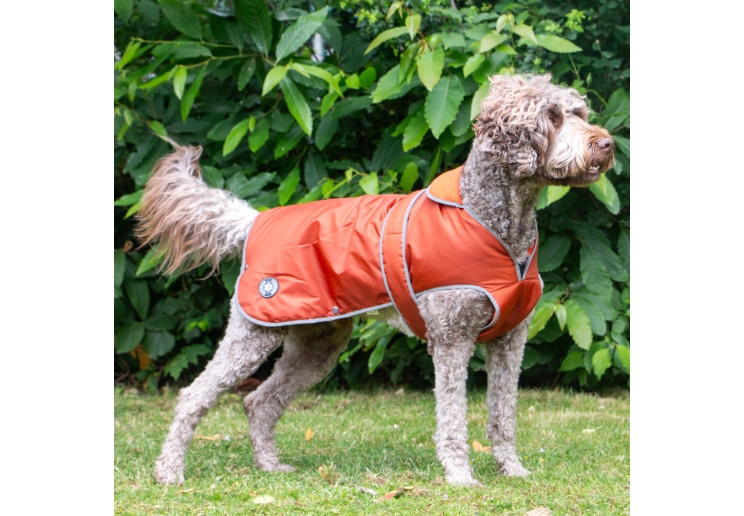 Stormguard Dog Coat Terracotta XS