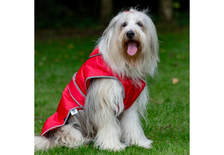 Stormguard Dog Coat Red S/M