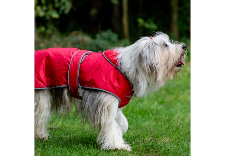 Stormguard Dog Coat Red S/M