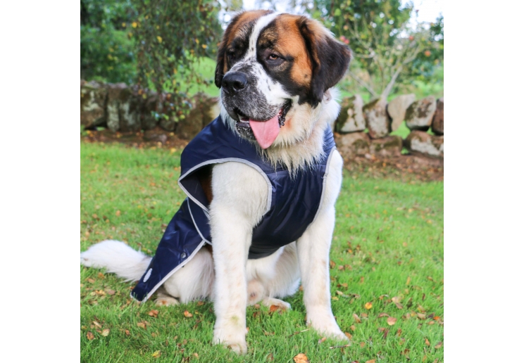 Stormguard Dog Coat Navy S