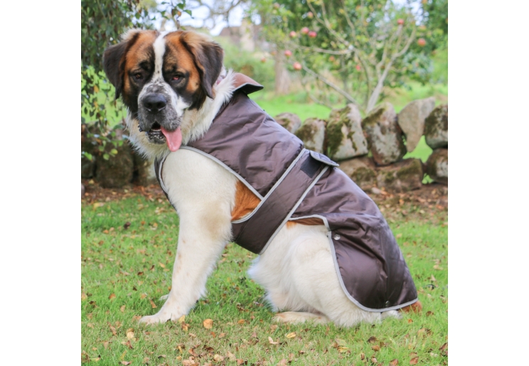 Stormguard Dog Coat Chocolate XS