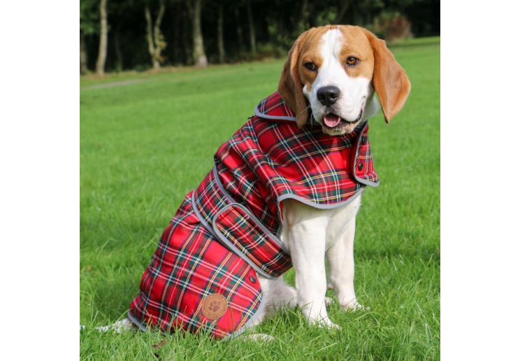 Highland Tartan Dog Coat S