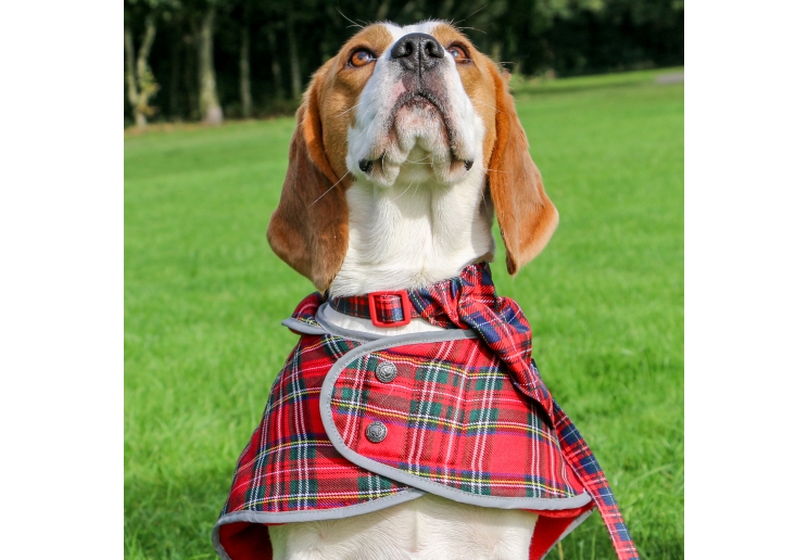 Highland Tartan Dog Coat S