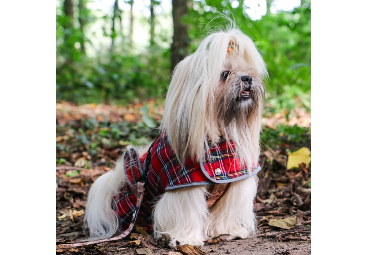 Highland Tartan Dog Coat S