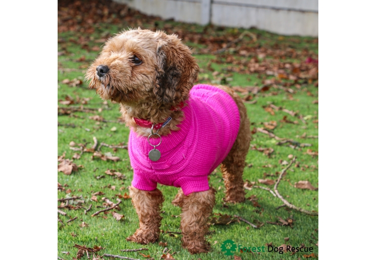 Pink Cable Knit Jumper XS