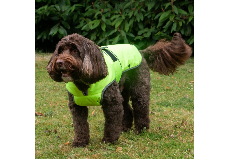 Stormguard Dog Coat Hi-Vis XS