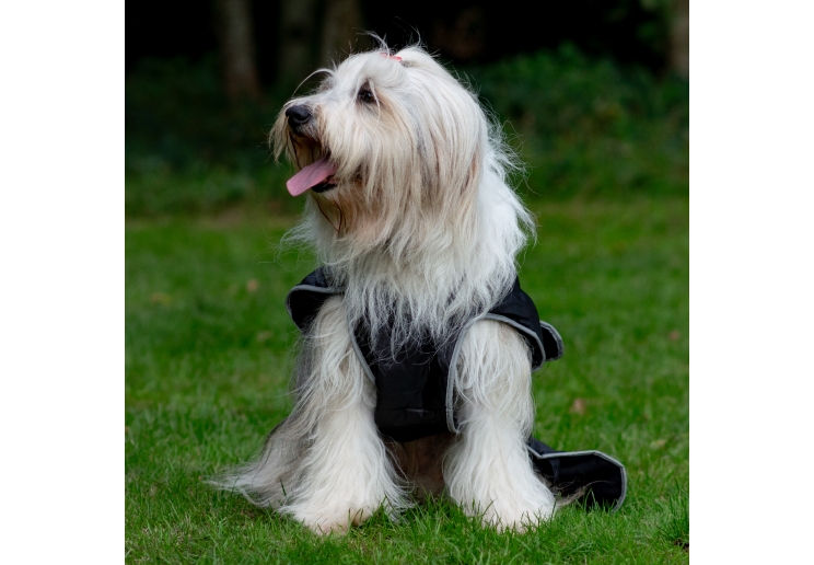 Stormguard Dog Coat Black M