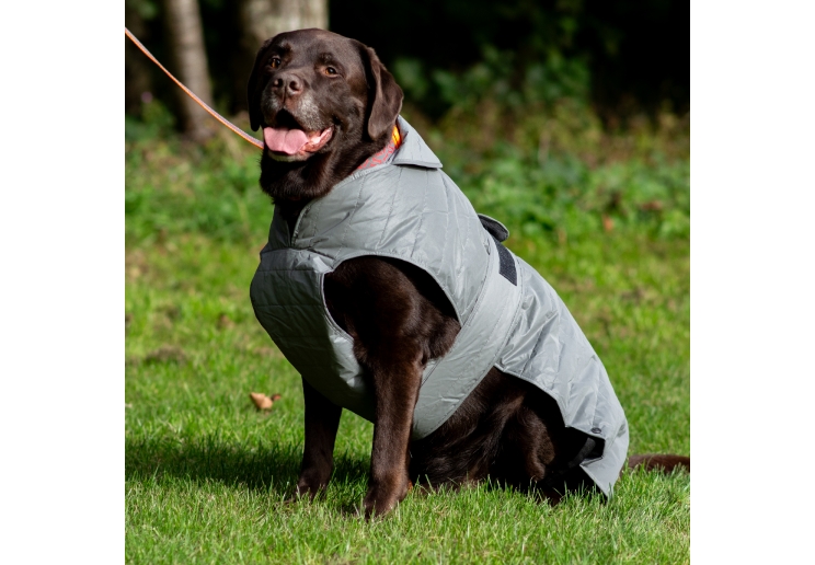 Ultimate Reflective Dog Coat S/M