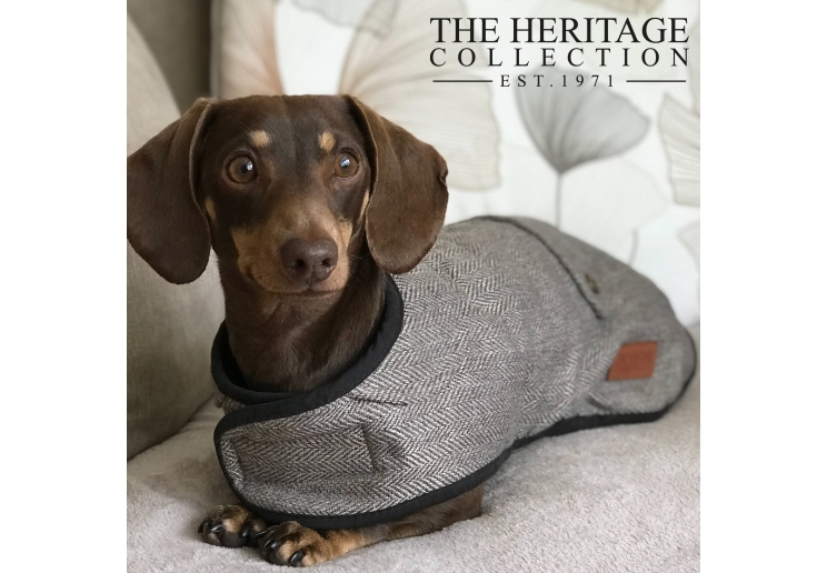 Herringbone dog coat hotsell