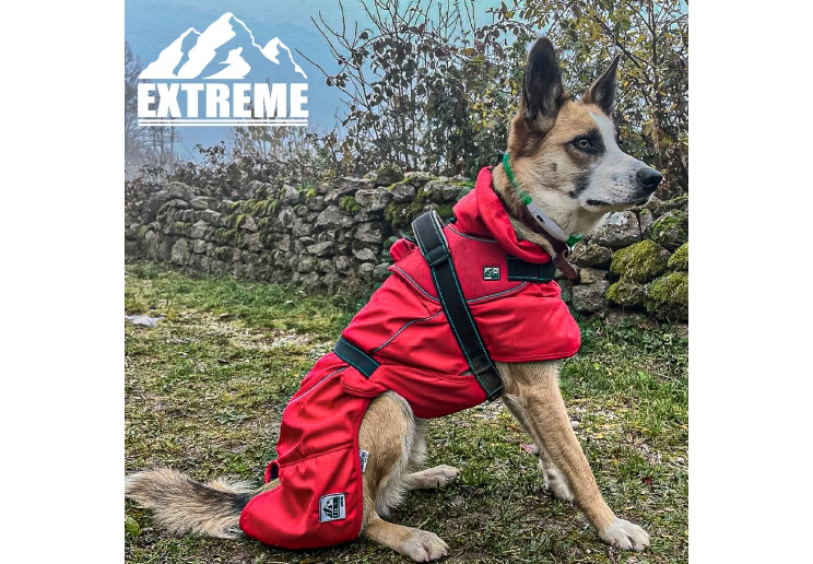 Extreme Monsoon Dog Coat Black 35cm S/M