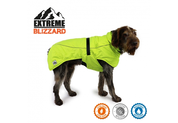 Extreme Blizzard Dog Coat Hi-Vis 25cm XS