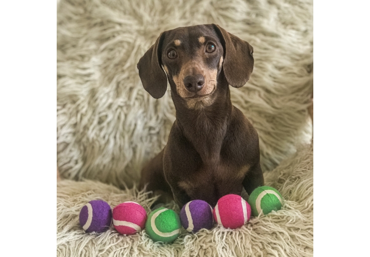 SB Mini Tennis Balls 6pc pack