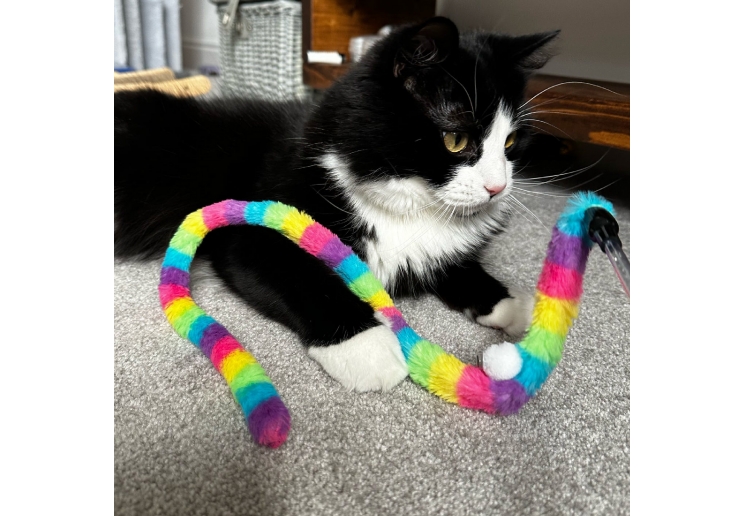 Wiggle Worm Cat Dangler Rainbow