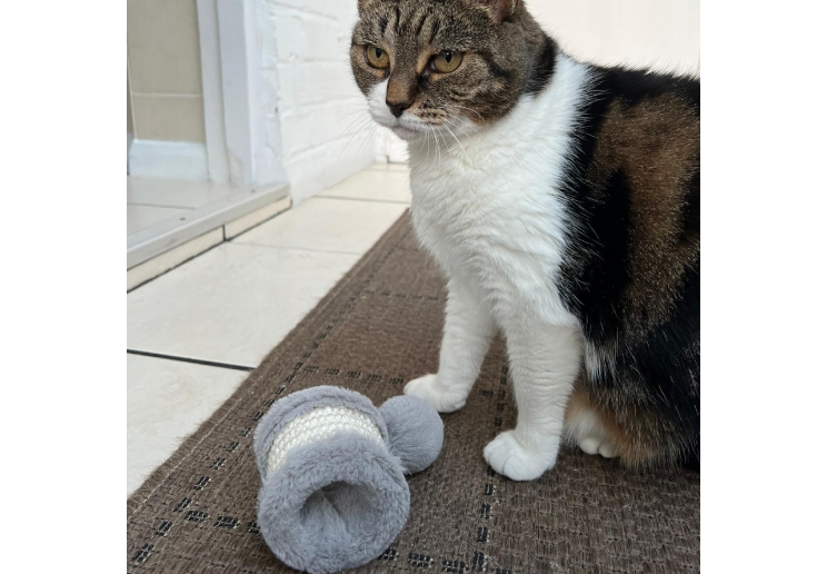 Pom Pom Drum Cat Scratcher