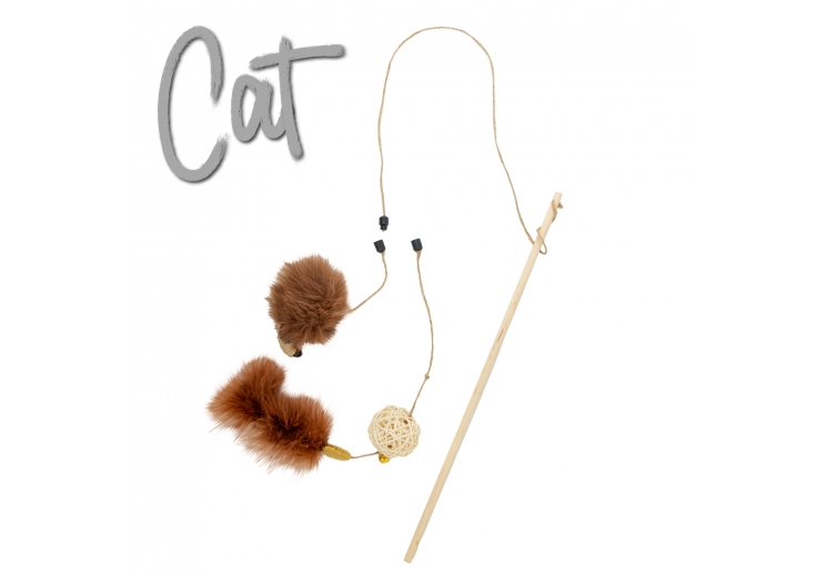 Changeable Cat Wand