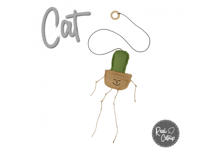 Interactive Cat Cactus