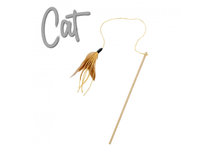 Cat Feather Teaser