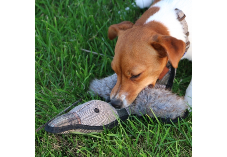 Heritage Tweed Duck