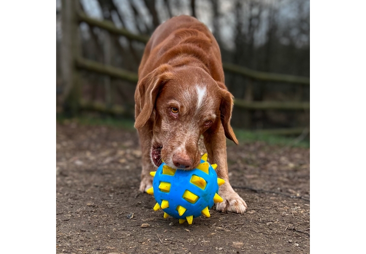 Chase Atomic Ball