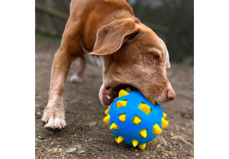 Chase Atomic Ball