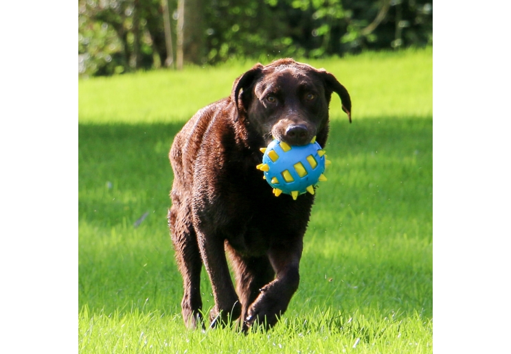 Chase Atomic Ball