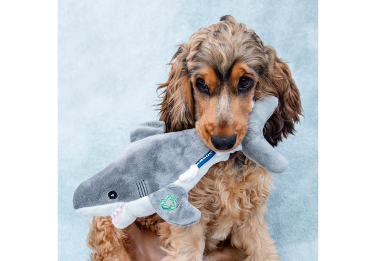 Shark Made From Cuddler