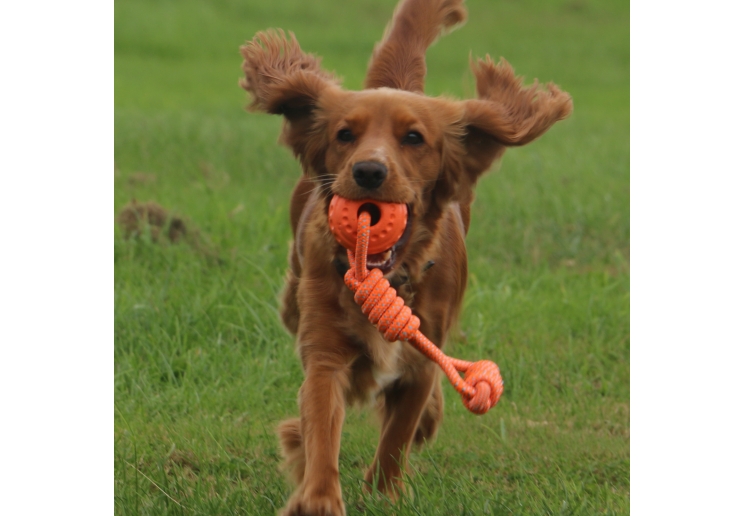 Tough Ball Tug