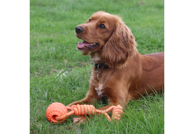 Tough Ball Tug