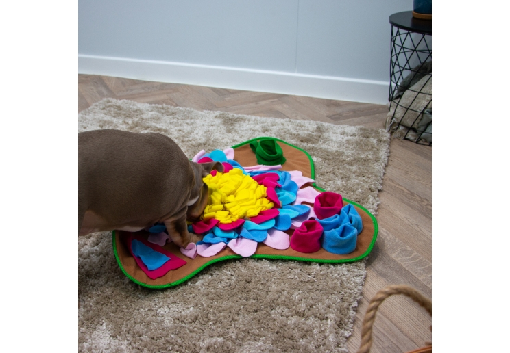 Orva Square Snuffle Mat