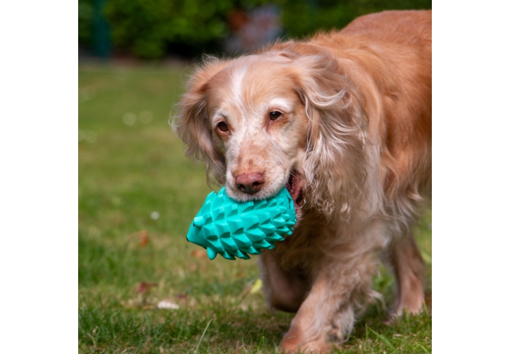 Orva Hedgehog Treat Toy