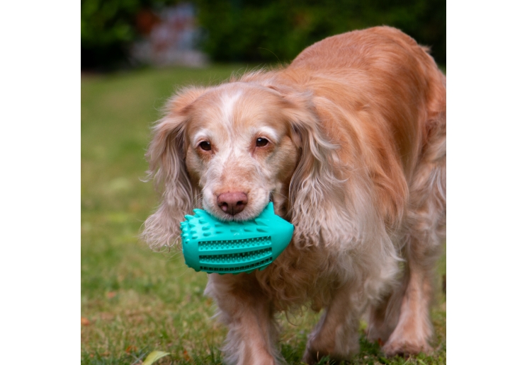 Orva Hedgehog Treat Toy