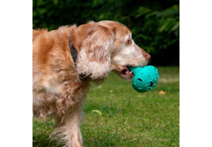 Orva Mushroom Treat Toy