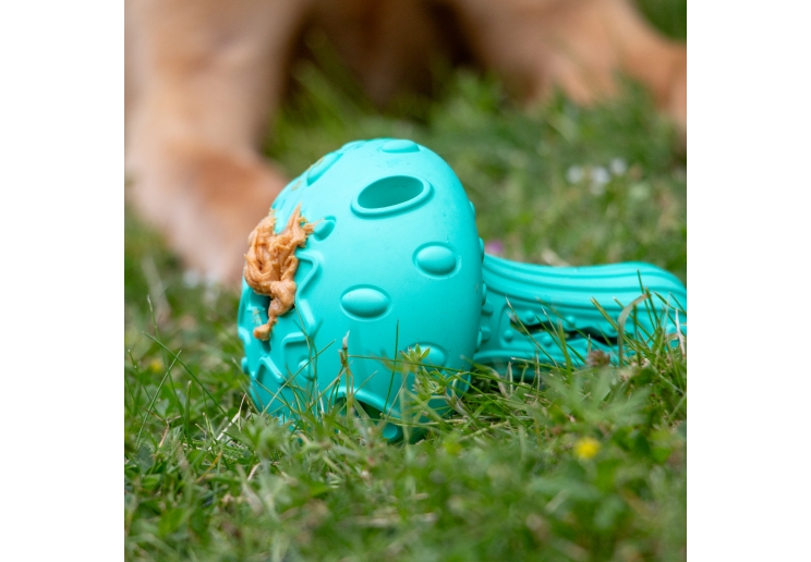 Orva Mushroom Treat Toy