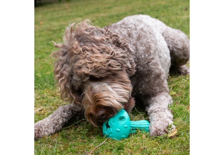 Orva Mushroom Treat Toy