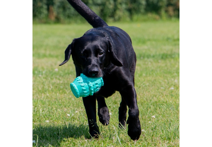 Orva Treat Barrel