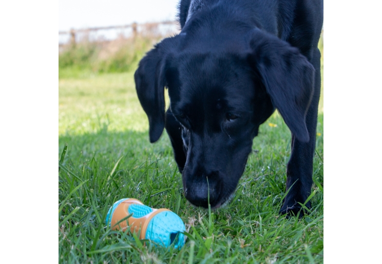 Orva Sensory Roll Treat Toy