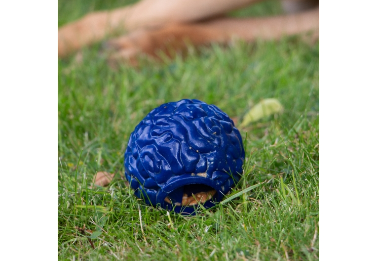 Orva Brain Ball